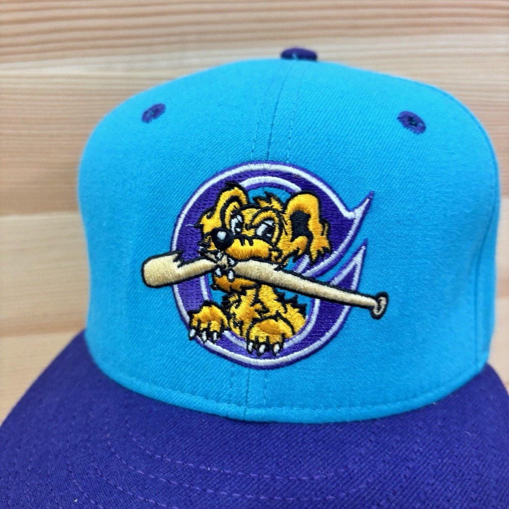 Vintage 90s New Era MiLB Charleston RiverDogs MiUSA Fitted Hat Sz 7 1/8 WOOL